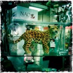 Leopard statuette in Lewis's, Liverpool